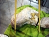 DSCN1989.JPG