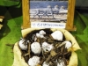 DSCN1992.JPG