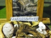 DSCN1997.JPG