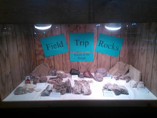 2014ShowPhoto008 (1)